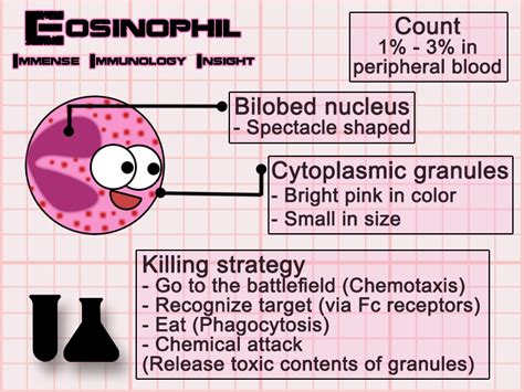 Immense Immunology Insight Eosinophils Simplified