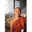 Free Burmese Monk Stock Photo  FreeImagescom