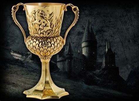 Buy Harry Potter Helga Hufflepuff Cup Voldemort Horcrux Official Prop