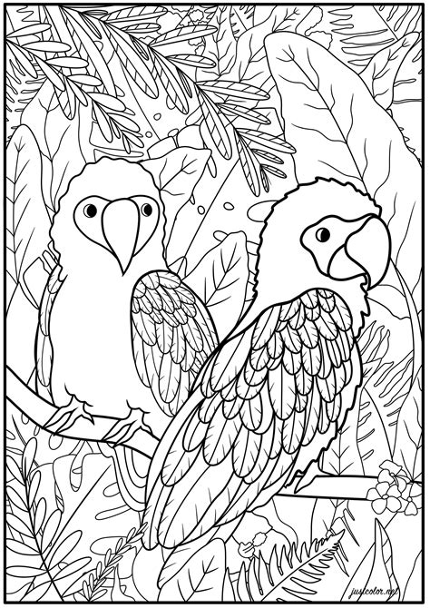 Two Parrots And Exotic Plants Birds Adult Coloring Pages