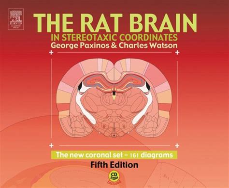 The Rat Brain In Stereotaxic Coordinates The New Coronal Set Ebook