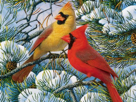 Cardinals In Winter Desktop Wallpaper Wallpapersafari