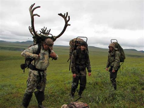 Caribou Hunting Photo Gallery Arctic North Guides
