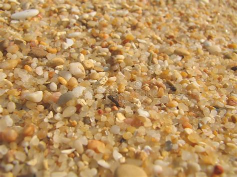 海滩沙子 库存图片 图片 包括有 楼层 微粒 抽象 滚磨的 沙丘 夏天 关闭 感激的 平稳