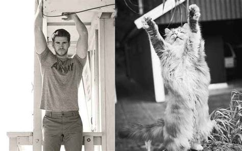 31 Famosos Sexies Contra Gatos Gatos Fotos Con Gatos Hombres Famosos