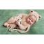 Cute Baby Sleep 4K 8K HD Wallpapers  ID 32485