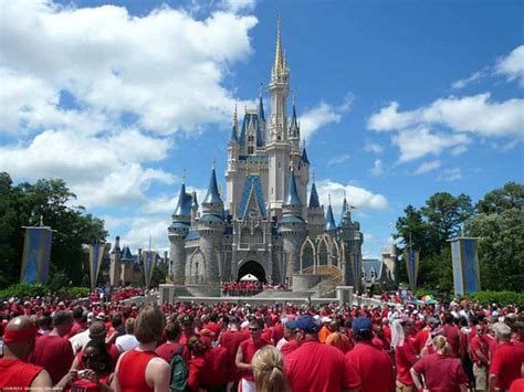 52 Photos Show The Delights Of Disney World At Gaydays Orlando