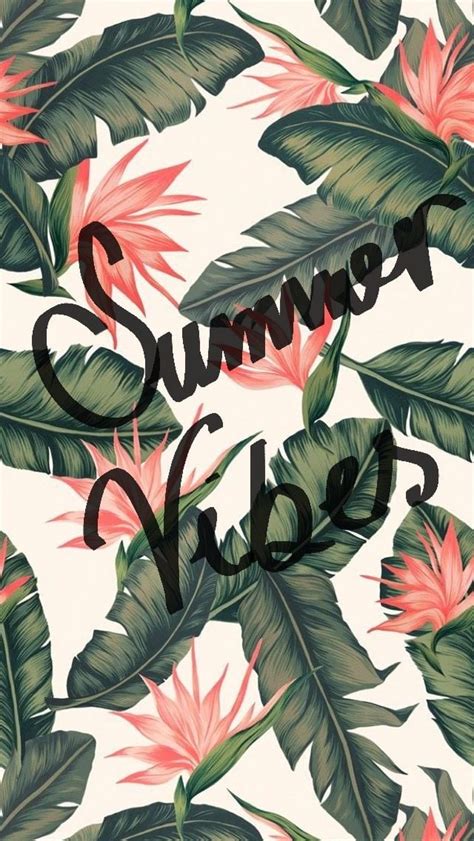 Free Download Summer Summer Wallpaper Wallpaper Iphone Summer Wallpaper