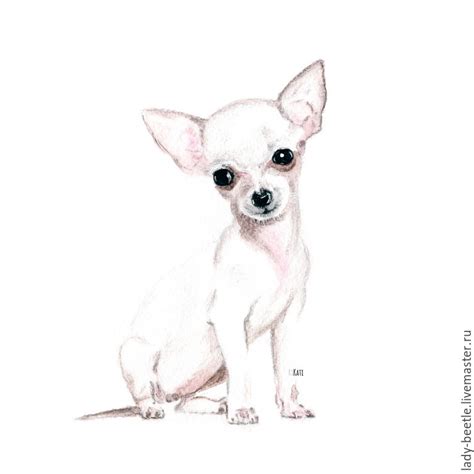 Chihuahua Drawing Dog Paintings Dog Art