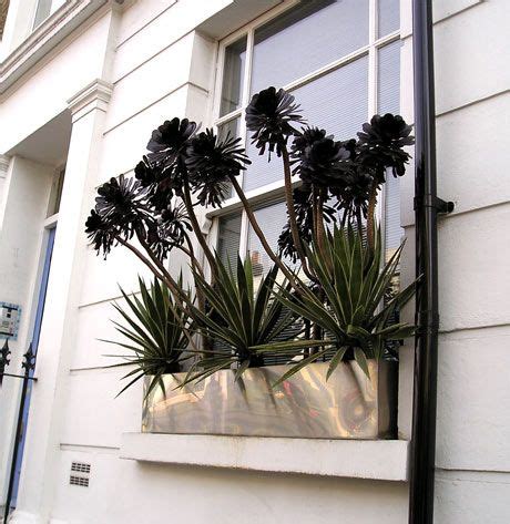 Scegli tra immagini premium su modern window boxes della migliore qualità. AT Europe: London - English City Gardens | Privacy ...