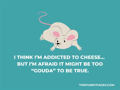 90 Funny Mouse Jokes And Puns Thepunnypages