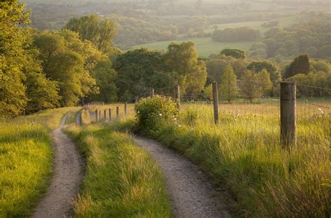 English Country Lane Landscape Nature Country