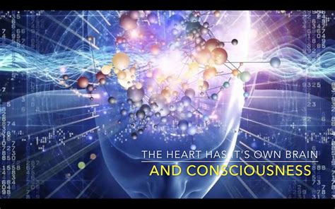 The Heart Has Its Own Brain And Consciousness Youtube