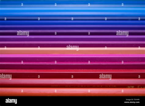 Set Of Color Pencils Inside The Box Back To School Stock Photo Alamy