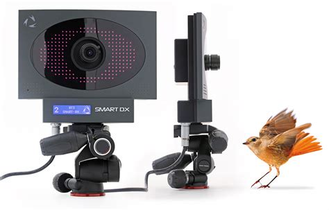 Discover over 98 of our best. SMART-DX | Motion Capture System | BTS Bioengineering