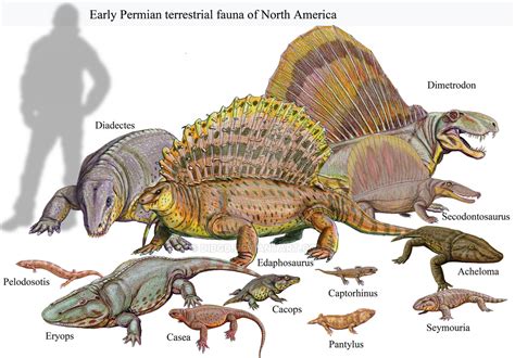 Early Permian Of Usa By Dibgd On Deviantart