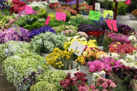 How To Shop At The Los Angeles Flower Market Ounce Of Salt
