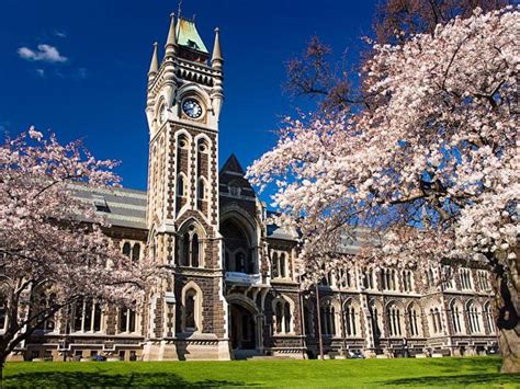 University Of Otago Th