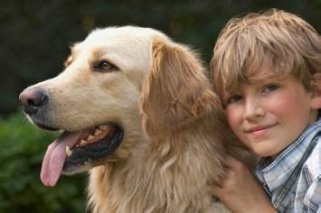 Check spelling or type a new query. How Can 13 Year Olds Make Money Fast: Ideas That Really Work | Loyal dog breeds, Best dogs for ...