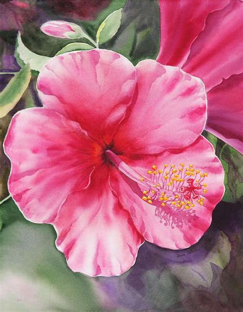 9 Best Hibiscus Flower Water Color Images On Pinterest