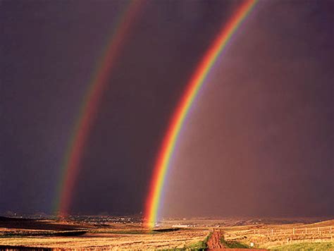 Double Rainbow Rainbows Wiki Fandom Powered By Wikia