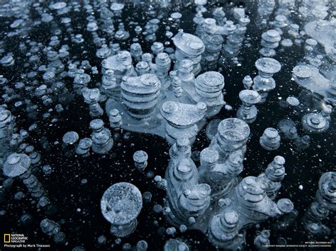 20 Frozen Methane Bubbles2 Methane Bubbles Natural Phenomena