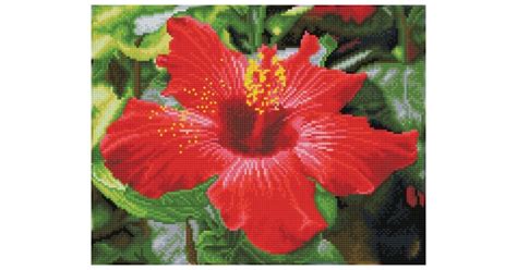 Hibiscus In Bloom Pre Framed Kit Diamond Painting Kit With Frame