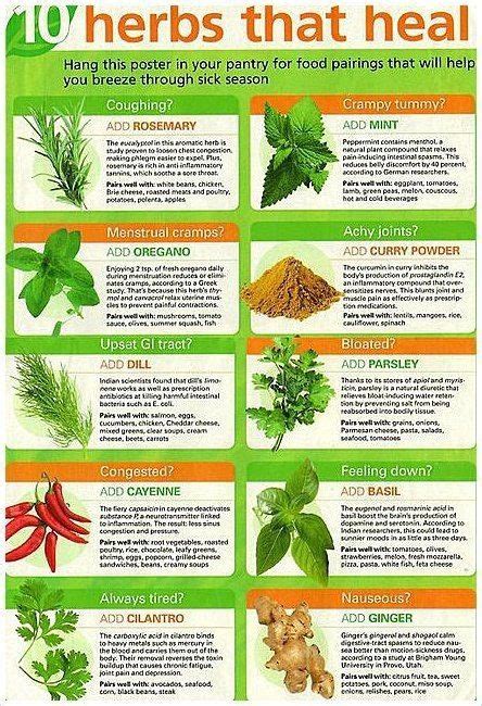 Pin By Pinner On Home Healing Herbs Herbs Herbs For Health