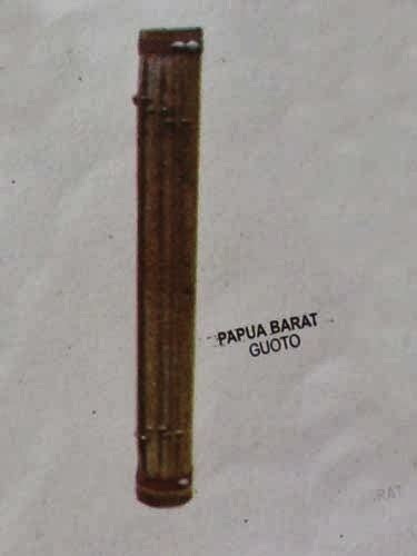 Selain yi, triton juga termasuk alat musik tradisional papua barat. Alat Musik Papua Barat | Hisyam's Blog