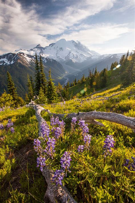 51 Photos That Prove America Truly Is Beautiful Mountain Landscape