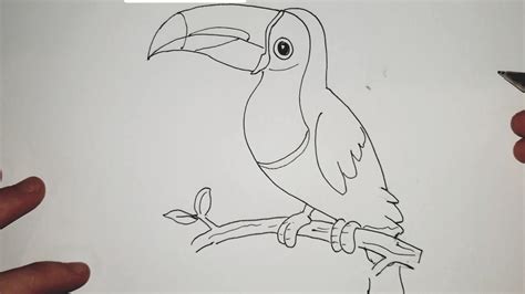 Kako Nacrtati Pticu Tukanadrawing A Cartoon Toucan Bird On A Branch
