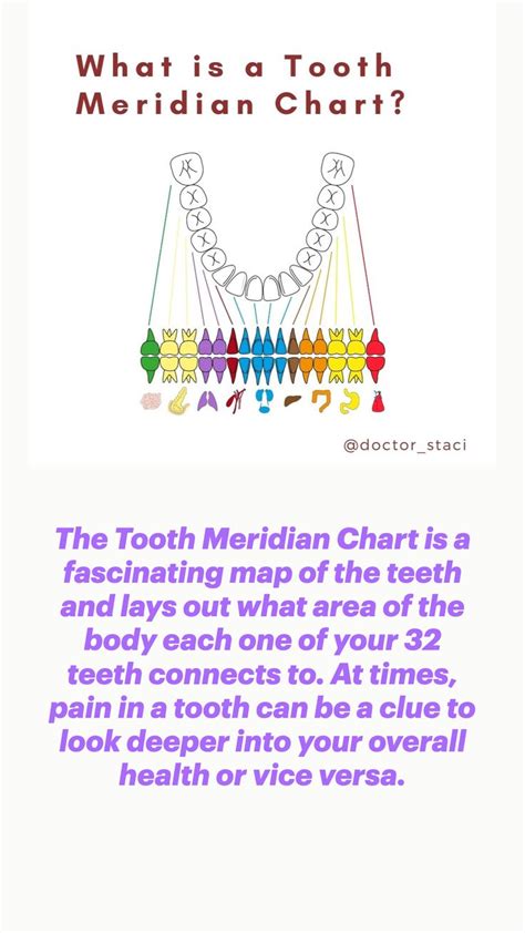 What Is A Tooth Meridian Chart Sensitive Teeth Oral Hygiene Chart