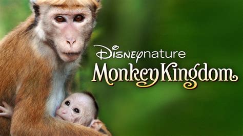 Watch Disneynature Monkey Kingdom Full Movie Disney