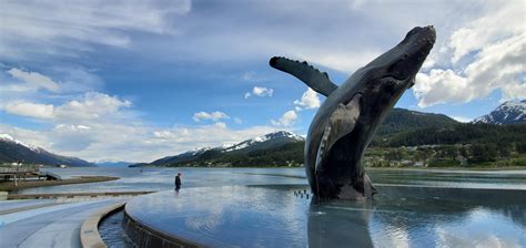 The Whale Juneau Alaska Ralaska