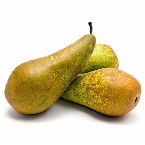 Груша конференция диета Груша Конференция – Садовод Крым Груша Конференция – Садовод Крым Груша конференция диета