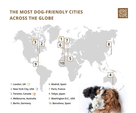 The Best Cities For Dogs Around The World Benchmark Kennels