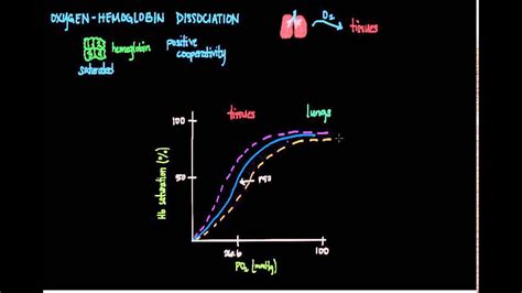 Po2 can fall from 100 to 60 mm hg and the hemoglobin will still be 90 percent saturated with oxygen. Oxygen-Hemoglobin Dissociation Curve - YouTube