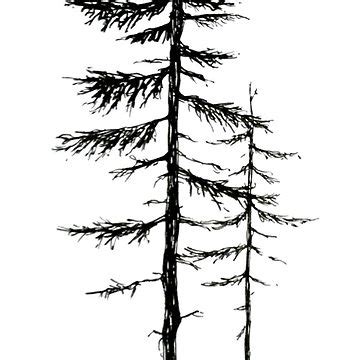 Pine Tree Line Drawing At Paintingvalley Com Explore Collection Of Pine Tree Line Drawing