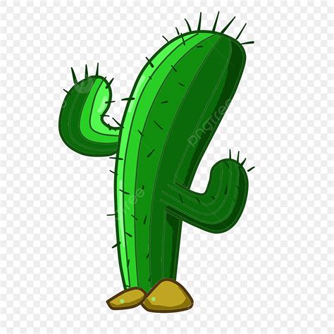 Desert Green Cactus Cactus Clipart Cactus Green Png Transparent