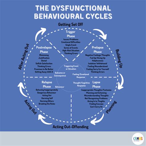 The Dysfunctional Behavioural Cycles Camhs Professionals