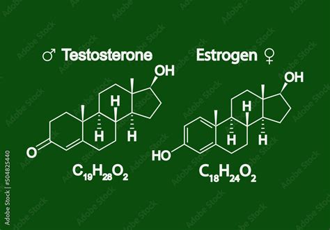 Humain Sex Hormones Molecular Formula Estrogen And Testosterone Symbole Chemical And Skeletal