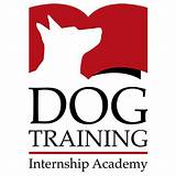 Dog Training Company