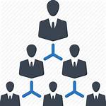 Hierarchy Business Corporate Icon Management Team Leadership