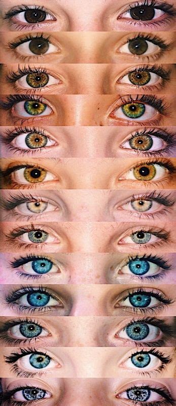 Beautiful Eyes Color Pretty Eyes Cool Eyes Stunning Eyes Eye