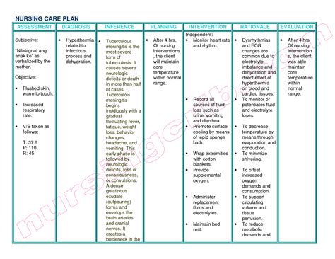 Nanda Nursing Diagnosis Guide Meaninglessbooks Org Nanda Nursing