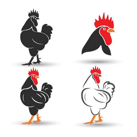 Roosters And Hens On White Background Set Of Four Silhouettes Stock Photo