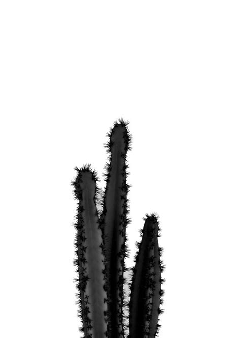 Black Cactus Iii Schickes Poster Photowall