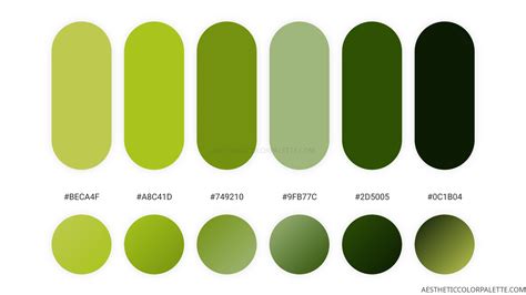 Apple Green Colors Aesthetic Color Palette