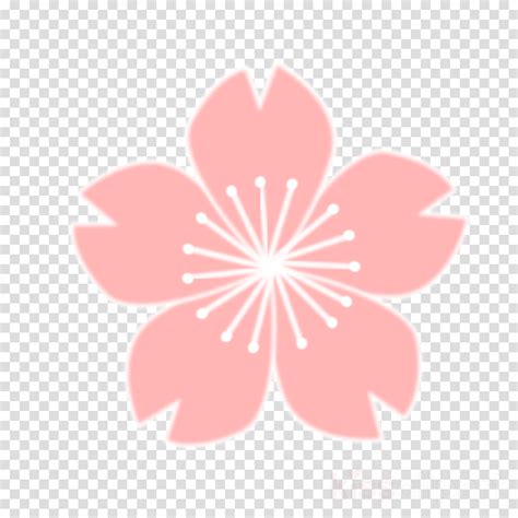 Sakura Png Clipart Cherry Blossom Clip Art Sakura Flower Drawing Png