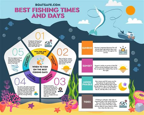 Best Fishing Times And Days